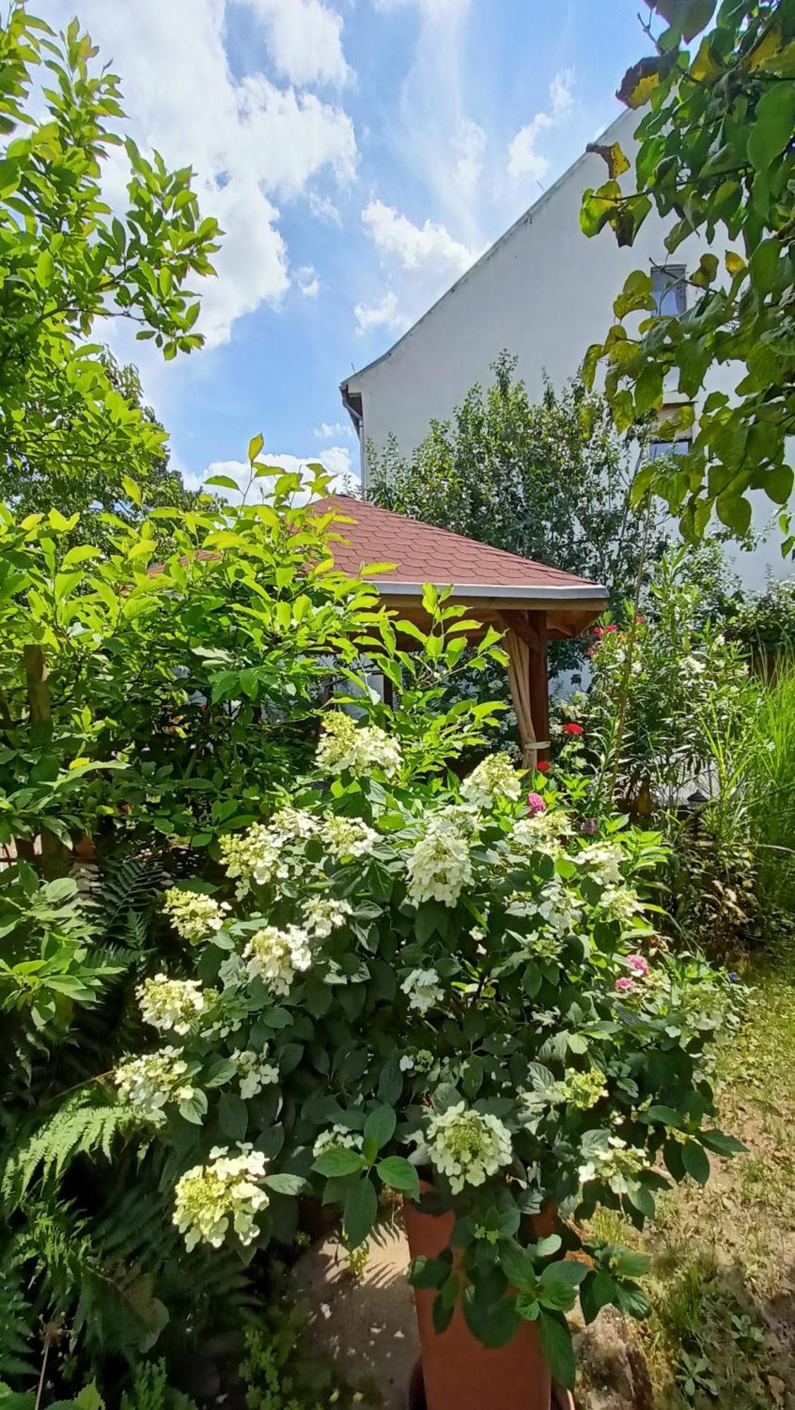 Urlaub Mit Charme In Der Kleinsten Stadt Der Pfalz. Obermoschel Exterior photo