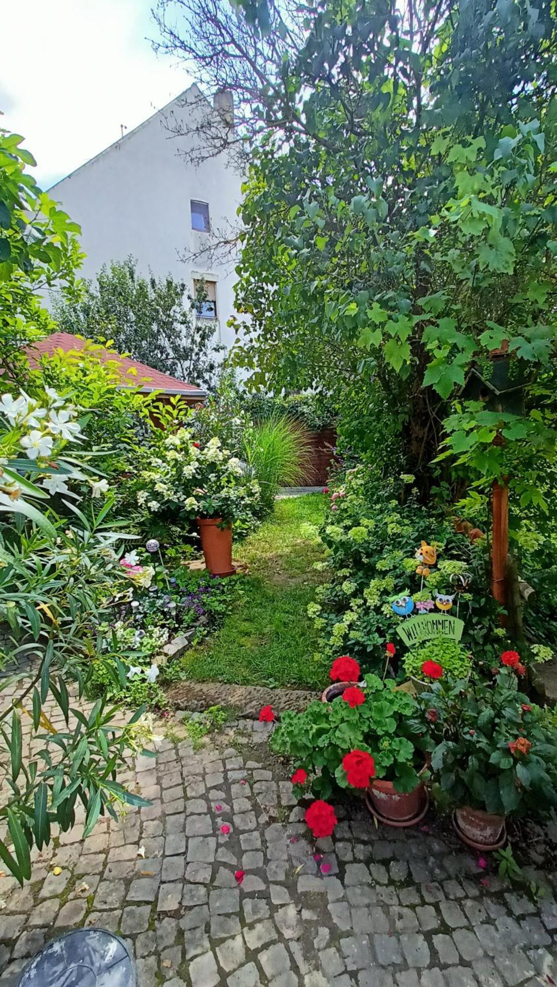 Urlaub Mit Charme In Der Kleinsten Stadt Der Pfalz. Obermoschel Exterior photo